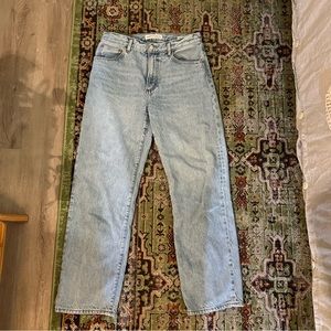 Aritzia Marlo High Rise Baggy Jeans